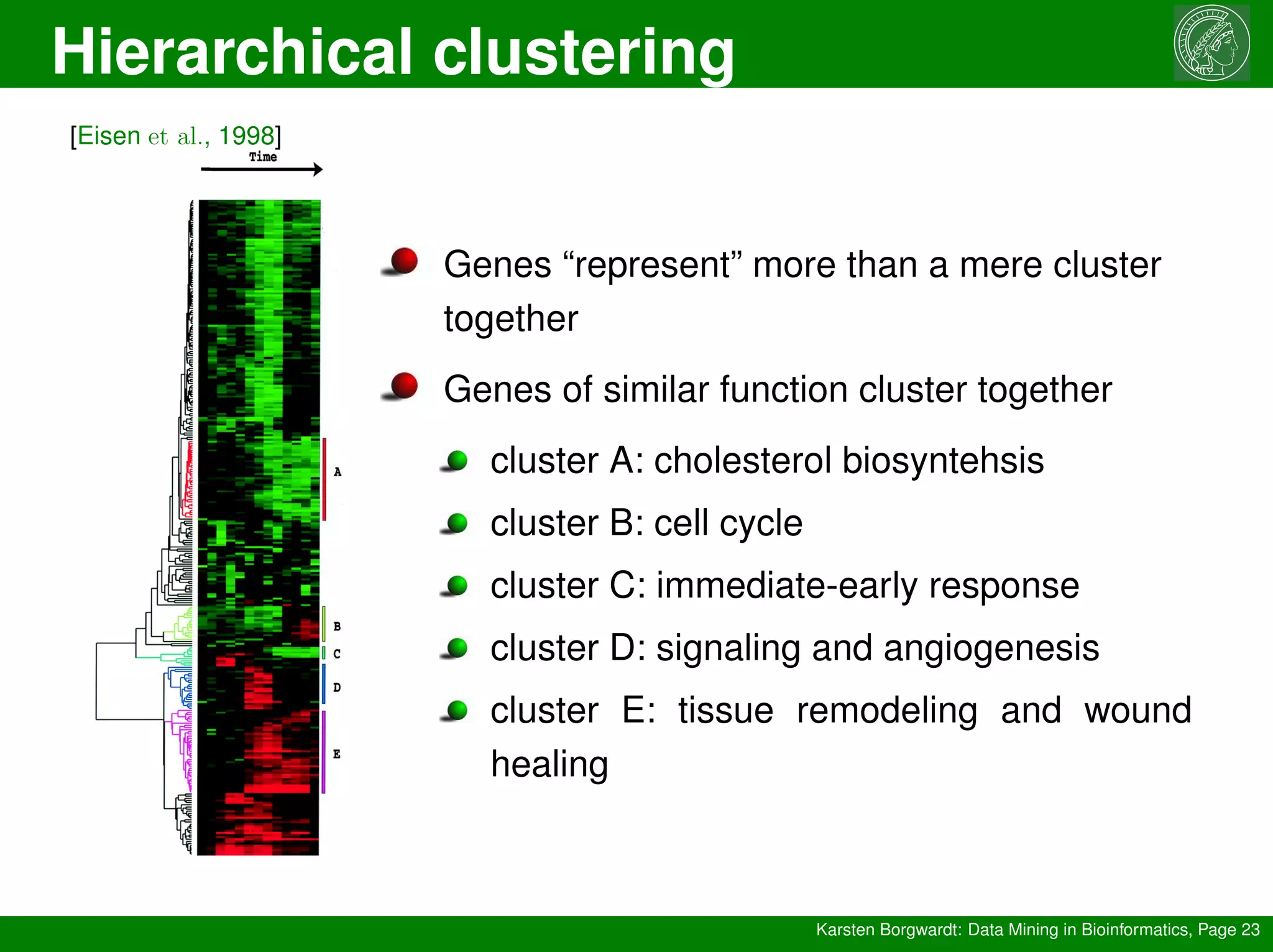 Hierarchical clustering
Karsten Borgwardt: Data Mining in Bioinformatics, Page 23
[Eisen et al., 1998]
Genes “represent” more than a mere cluster
together
Genes of similar function cluster together
cluster A: cholesterol biosyntehsis
cluster B: cell cycle
cluster C: immediate-early response
cluster D: signaling and angiogenesis
cluster E: tissue remodeling and wound
healing
 