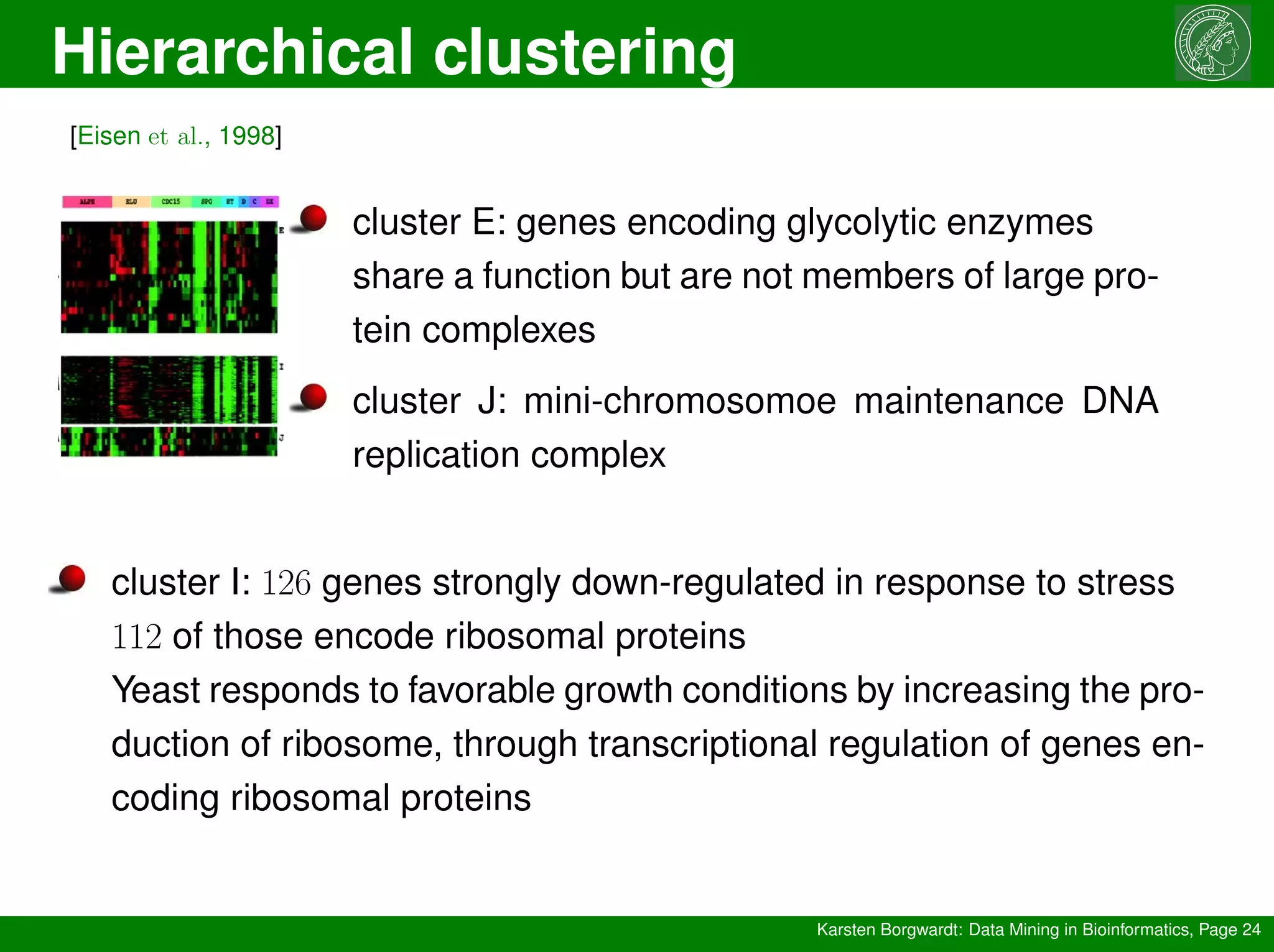 Hierarchical clustering
Karsten Borgwardt: Data Mining in Bioinformatics, Page 24
[Eisen et al., 1998]
cluster E: genes encoding glycolytic enzymes
share a function but are not members of large pro-
tein complexes
cluster J: mini-chromosomoe maintenance DNA
replication complex
cluster I: 126 genes strongly down-regulated in response to stress
112 of those encode ribosomal proteins
Yeast responds to favorable growth conditions by increasing the pro-
duction of ribosome, through transcriptional regulation of genes en-
coding ribosomal proteins
 