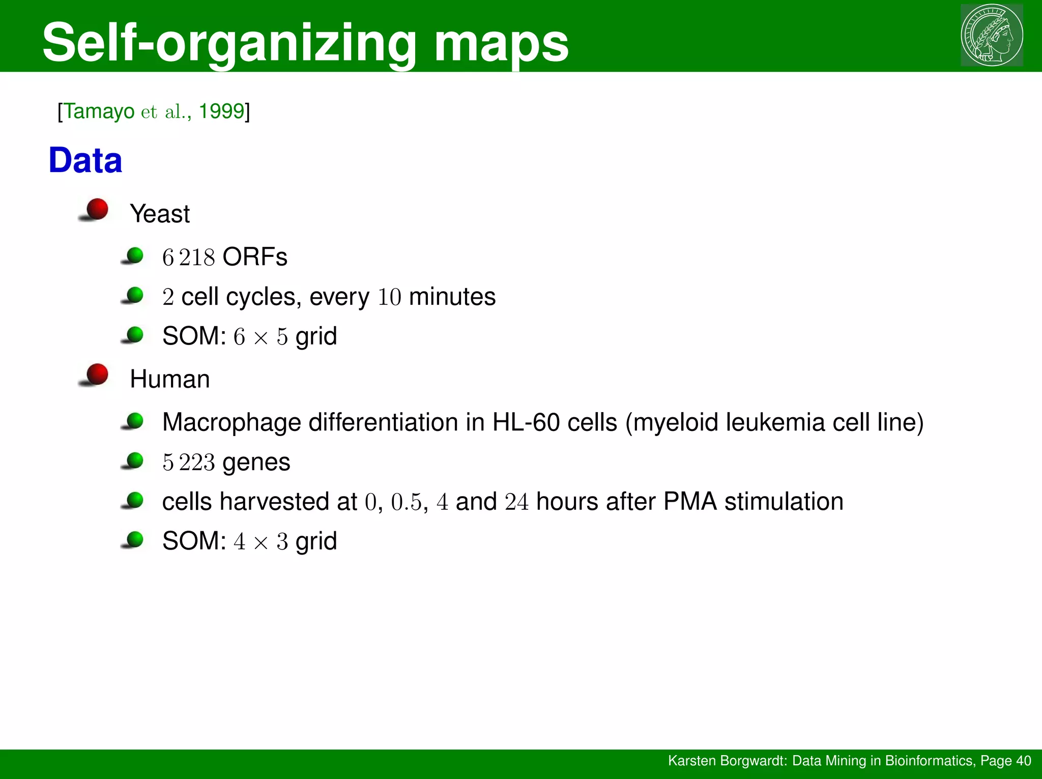 Self-organizing maps
Karsten Borgwardt: Data Mining in Bioinformatics, Page 40
[Tamayo et al., 1999]
Data
Yeast
6 218 ORFs
2 cell cycles, every 10 minutes
SOM: 6 × 5 grid
Human
Macrophage differentiation in HL-60 cells (myeloid leukemia cell line)
5 223 genes
cells harvested at 0, 0.5, 4 and 24 hours after PMA stimulation
SOM: 4 × 3 grid
 
