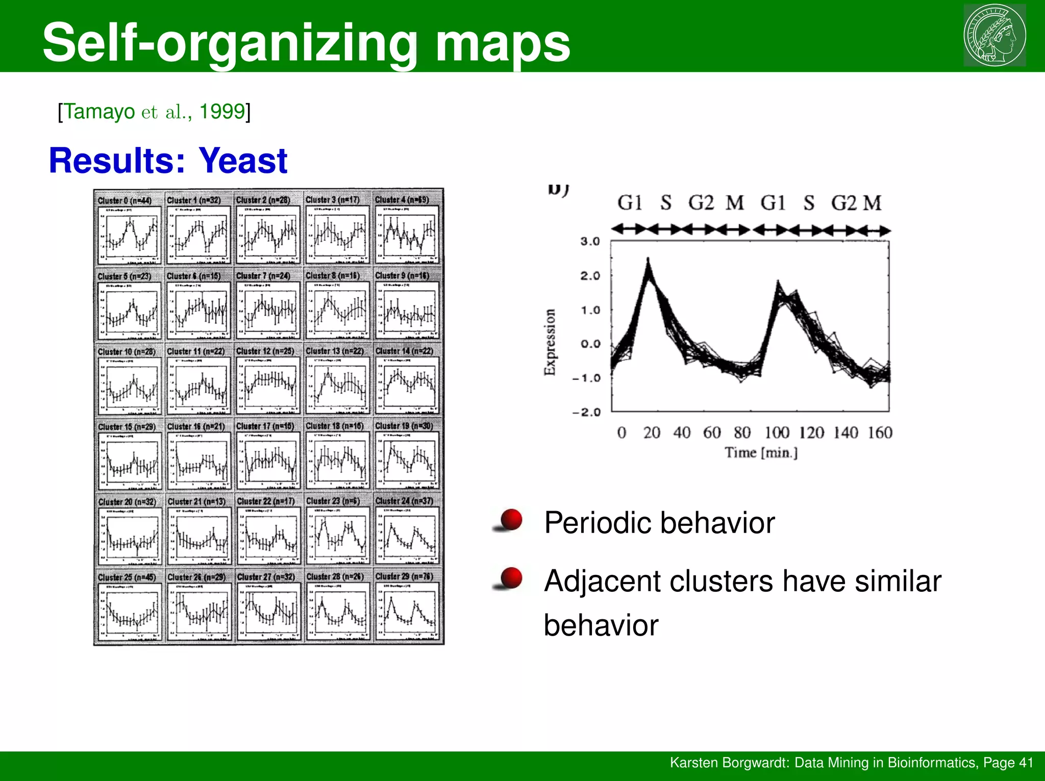 Self-organizing maps
Karsten Borgwardt: Data Mining in Bioinformatics, Page 41
[Tamayo et al., 1999]
Results: Yeast
Periodic behavior
Adjacent clusters have similar
behavior
 