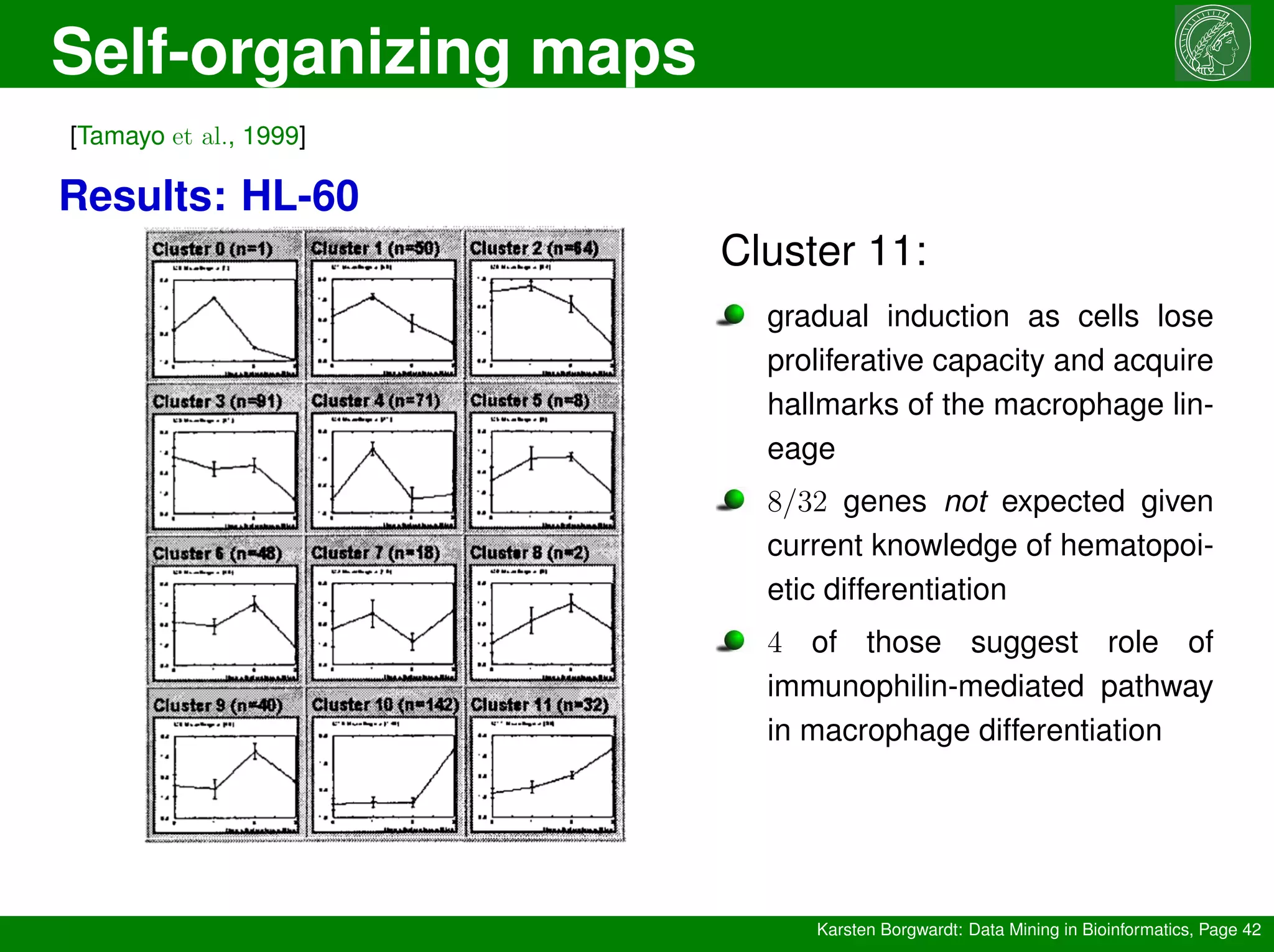Self-organizing maps
Karsten Borgwardt: Data Mining in Bioinformatics, Page 42
[Tamayo et al., 1999]
Results: HL-60
Cluster 11:
gradual induction as cells lose
proliferative capacity and acquire
hallmarks of the macrophage lin-
eage
8/32 genes not expected given
current knowledge of hematopoi-
etic differentiation
4 of those suggest role of
immunophilin-mediated pathway
in macrophage differentiation
 