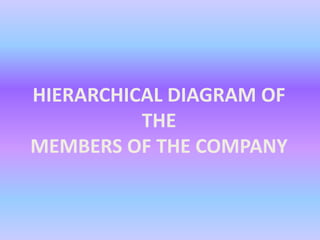 HIERARCHICAL DIAGRAM OF
THE
MEMBERS OF THE COMPANY
 