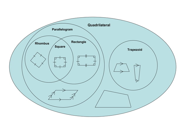 Hierarchical graphic organizer