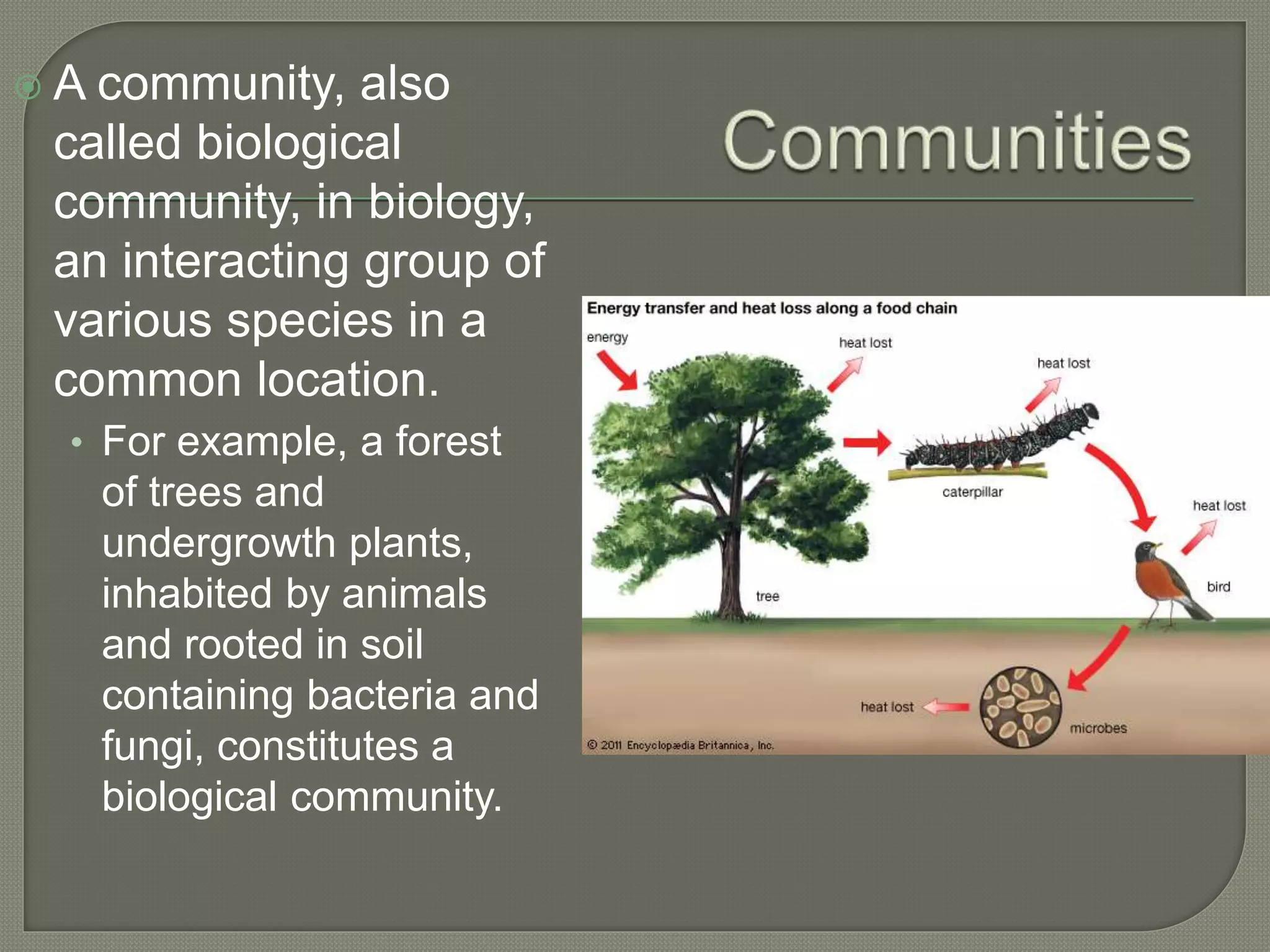  A community, also
called biological
community, in biology,
an interacting group of
various species in a
common location.
• For example, a forest
of trees and
undergrowth plants,
inhabited by animals
and rooted in soil
containing bacteria and
fungi, constitutes a
biological community.
 