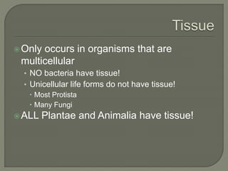 Only occurs in organisms that are
multicellular
• NO bacteria have tissue!
• Unicellular life forms do not have tissue!
 Most Protista
 Many Fungi
ALL Plantae and Animalia have tissue!
 
