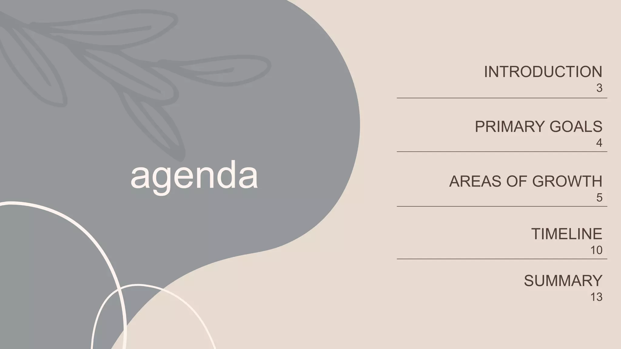 agenda
INTRODUCTION
3
PRIMARY GOALS
4
AREAS OF GROWTH
5
TIMELINE
10
SUMMARY
13
 