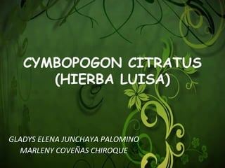 CYMBOPOGON CITRATUS
(HIERBA LUISA)
GLADYS ELENA JUNCHAYA PALOMINO
MARLENY COVEÑAS CHIROQUE
 