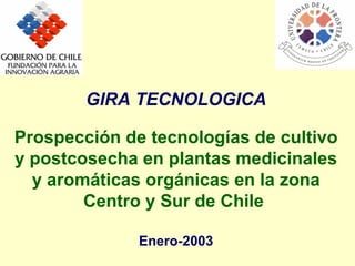 GIRA TECNOLOGICA Prospección de tecnologías de cultivo y postcosecha en plantas medicinales y aromáticas orgánicas en la zona Centro y Sur de Chile   Enero-2003 