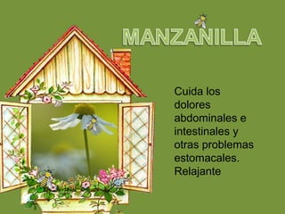 Cuida los
dolores
abdominales e
intestinales y
otras problemas
estomacales.
Relajante
 