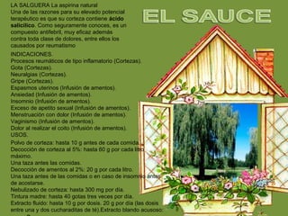 LA SALGUERA La aspirina natural
Una de las razones para su elevado potencial
terapéutico es que su corteza contiene ácido
salicílico. Como seguramente conoces, es un
compuesto antifebril, muy eficaz además
contra toda clase de dolores, entre ellos los
causados por reumatismo
INDICACIONES.
Procesos reumáticos de tipo inflamatorio (Cortezas).
Gota (Cortezas).
Neuralgias (Cortezas).
Gripe (Cortezas).
Espasmos uterinos (Infusión de amentos).
Ansiedad (Infusión de amentos).
Insomnio (Infusión de amentos).
Exceso de apetito sexual (Infusión de amentos).
Menstruación con dolor (Infusión de amentos).
Vaginismo (Infusión de amentos).
Dolor al realizar el coito (Infusión de amentos).
USOS.
Polvo de corteza: hasta 10 g antes de cada comida.
Decocción de corteza al 5%: hasta 60 g por cada litro
máximo.
Una taza antes las comidas.
Decocción de amentos al 2%: 20 g por cada litro.
Una taza antes de las comidas o en caso de insomnio antes
de acostarse.
Nebulizado de corteza: hasta 300 mg por día.
Tintura madre: hasta 40 gotas tres veces por día.
Extracto fluido: hasta 10 g por dosis. 20 g por día (las dosis
entre una y dos cucharaditas de té).Extracto blando acusoso:
 