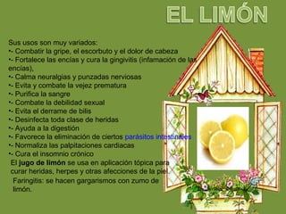 Sus usos son muy variados:
•- Combatir la gripe, el escorbuto y el dolor de cabeza
•- Fortalece las encías y cura la gingivitis (infamación de las
encías),
•- Calma neuralgias y punzadas nerviosas
•- Evita y combate la vejez prematura
•- Purifica la sangre
•- Combate la debilidad sexual
•- Evita el derrame de bilis
•- Desinfecta toda clase de heridas
•- Ayuda a la digestión
•- Favorece la eliminación de ciertos parásitos intestinales
•- Normaliza las palpitaciones cardiacas
•- Cura el insomnio crónico
El jugo de limón se usa en aplicación tópica para
curar heridas, herpes y otras afecciones de la piel.
Faringitis: se hacen gargarismos con zumo de
limón.
 