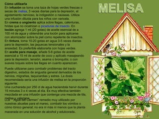 Cómo utilizarla
En infusión se toma una taza de hojas verdes frescas o
secas de melisa, 3 veces diarias para la depresión, el
agotamiento nervioso, la indigestión o naúseas. Utiliza
una infusión diluida para los niños con varicela.
En crema o ungüento aplica sobre llagas, calenturas,
hridas que no cicatrizan o picaduras de insecto. En
loción agrega 1 ml (20 gotas) de aceite esencial de a
100 ml de agua y obtendrás una loción para aplicarse
con atomizador sobre la piel como repelente de insectos.
En tintura, toma 10-20 gotas en agua 3-5 veces diarias
para la depresión, las jaquecas tensionales y la
ansiedad. Es preferible elaborarla con hojas verdes.
En aceite para masaje, añade 5-6 gotas de aceite
esencial a 15 ml de aceite de coco y aplícalo masajeando
para la depresión, tensión, asama o bronquitis; o con
suaves toques sobre las llagas en cuanto aparezcan.
Puede utilizarse para combatir problemas del tracto
digestivo, estados de angustia general derivados de los
nervios, migrañas, taquicardias y estres. La dosis
recomendada sería una infusión de melisa en la proporción
siguiente:
Una cucharada por 250 cl de agua haciendola hervir durante
15 minutos 3 o 4 veces al día. Es muy efectiva también
mezclada en una infusión que contenga una mezcla de tila,
melisa y valeriana.
LLa ” Agua del Carmen” remedio muy utilizado por
nuestras abuelas para el mareo, combatir los vómitos o
cómo tónico general; no era ni más ni menos que la planta
macerada en una solución de alcohol y edulcorada.
 