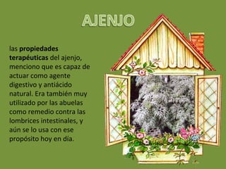 las propiedades
terapéuticas del ajenjo,
menciono que es capaz de
actuar como agente
digestivo y antiácido
natural. Era también muy
utilizado por las abuelas
como remedio contra las
lombrices intestinales, y
aún se lo usa con ese
propósito hoy en día.
 