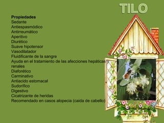 Propiedades
Sedante
Antiespasmódico
Antirreumático
Aperitivo
Diurético
Suave hipotensor
Vasodilatador
Fluidificante de la sangre
Ayuda en el tratamiento de las afecciones hepáticas y
renales
Diaforético
Carminativo
Antiacido estomacal
Sudorífico
Digestivo
Cicatrizante de heridas
Recomendado en casos alopecia (caida de cabello)
 