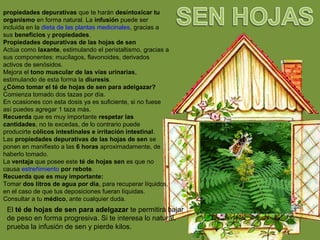 propiedades depurativas que te harán desintoxicar tu
organismo en forma natural. La infusión puede ser
incluida en la dieta de las plantas medicinales, gracias a
sus beneficios y propiedades.
Propiedades depurativas de las hojas de sen
Actúa como laxante, estimulando el peristaltismo, gracias a
sus componentes: mucílagos, flavonoides, derivados
activos de senósidos.
Mejora el tono muscular de las vías urinarias,
estimulando de esta forma la diuresis.
¿Cómo tomar el té de hojas de sen para adelgazar?
Comienza tomado dos tazas por día.
En ocasiones con esta dosis ya es suficiente, si no fuese
así puedes agregar 1 taza más.
Recuerda que es muy importante respetar las
cantidades, no te excedas, de lo contrario puede
producirte cólicos intestinales e irritación intestinal.
Las propiedades depurativas de las hojas de sen se
ponen en manifiesto a las 6 horas aproximadamente, de
haberlo tomado.
La ventaja que posee este té de hojas sen es que no
causa estreñimiento por rebote.
Recuerda que es muy importante:
Tomar dos litros de agua por día, para recuperar líquidos,
en el caso de que tus deposiciones fueran líquidas.
Consultar a tu médico, ante cualquier duda.
El té de hojas de sen para adelgazar te permitirá bajar
de peso en forma progresiva. Si te interesa lo natural,
prueba la infusión de sen y pierde kilos.
 