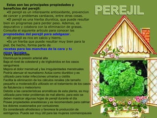 Estas son las principales propiedades y
beneficios del perejil:
•El perejil es un interesante antioxidante, prevención
de cáncer y problemas cardíacos, entre otras cosas.
•El perejil es una hierba diurética, que puede resultar
bien en programas para perder peso. Además, es
depurativo y colabora con la eliminación de grasas.
Consulta el siguiente artículo para conocer las
propiedades del perejil para adelgazar.
•El perejil es rico en calcio y hierro.
•Es un hierba que puede resultar muy bien para la
piel. De hecho, forma parte de
recetas para las manchas de la cara y tó
nicos faciales.
Usos y Beneficios
Disminuye la presión arterial alta
Baja el nivel de colesterol y de triglicéridos en los vasos
sanguíneos
Mejora el dolor menstrual y las irregularidades menstruales
Podría atenuar el reumatismo Actúa como diurético y es
utilizado para tratar infecciones urinarias y cistitis
Facilita la eliminación de los cálculos renales (de tamaño
pequeño a moderado)Es utilizado en el tratamiento de los casos
de flatulencia o meteorismo
Debido a las características aromáticas de esta planta, es muy
utilizada para tratar problemas de mal aliento, para esto se
deben masticar algunas hojas de perejil durante el día
Posee propiedades anestésicas y es recomendado para calmar
los dolores ocasionados por contusiones
Es considerado afrodisíaco y favorece la producción de
estrógenos. Puede ser muy útil para las mujeres conmenopausia
 