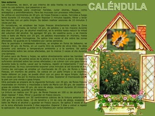 Uso externo
Las infusiones, es decir, el uso interno de esta hierba no es tan frecuente
como su uso externo, que pasamos a ver.
Es muy utilizada para cicatrizar heridas, curar úlceras, llagas, como
antiséptico y antiinflamatorio. Para las mucosas con procesos infecciosos.
Se utiliza en cocimientos de 20 grs. de hojas frescas o secas, hervidas a fuego
lento durante 15 minutos, se dejan Reposar 5 minutos tapado, filtrar y lavar
las heri-das con un paño limpio. Se deben realizar sesiones de 10 minutos 3
veces por día.
En torceduras, se emplean las hojas frescas directamente sobre la Zona
afectada. En pomada, se toman 10 grs. de pétalos y se los macera durante
dos días en 200 grs. de alcohol medicinal, se lo entibia hasta reducir la mitad
del volumen del alcohol. Se agregan 50 grs. de vaselina pura, y se mezcla
todo a baño de María con 20 grs. de pétalos macerados en mortero, hasta
formar una pasta homogénea. Se aplica tres veces al día sobre las zonas
afectadas. Se guarda en la heladera por varias semanas.
Para la psoriasis o metástasis dérmicas, se emplea en foma de bálsamo, se
colocan 30 grs. de flores, en un cuarto litro de aceite de oliva tibio. Se deja
durante una semana a temperatura ambiente y a la sombra. Se aplica
directamente sobre las zonas afectadas, por lo menos 3 veces al día durante
una semana.
El polvo seco de flores y hojas, se aplica directamente sobre las heridas. Se
toman 150 grs. de partes secas de la planta y se la tritura a polvo. Se esparce
suficiente cantidad sobre las zonas afectadas y se cubren con una gasa limpia
durante toda la noche. Lavar por la mañana, repetir el tratamiento 7 noches
consecutivas. Es muy conveniente exponer unos minutos al sol durante el día.
Contra las verrugas se emplea un machacado de 25 grs. de flores y hojas
frescas, en mortero de piedra. Se coloca en un paño limpio y se exprime,
hasta obtener un jugo, se puede diluir con un poco de agua limpia. Aplicar
tres veces por día por lo menos durante 15 días. Sostener el machacado sobre
la piel con una venda o gasa limpia.
Otra pomada se prepara de la siguiente formula: con 35 grs. de flores frescas
maceradas en mortero y mezcladas a baño de María con 80 grs. de vaselina o
grasa de ordeñe más 20 grs. de cera de abeja, revolver durante 20 minutos,
filtrar en caliente, guardar en la heladera.
La tintura se realiza con 30 grs. de flores frescas en 100 cc de alcohol 70°,
dejar reposar 7 días, filtrar y guardar en frasco oscuro.
La crema se prepara con 30 centíimetros cúbicos de la tintura anterior más
100 grs. de crema base, 10 de lanolina y 10 de cera de abeja, evaporar a
baño de María el alcohol y guardar en frasco oscuro. Se aplica 3 veces al día
en la zona afectada durante 5 días seguidos .Esperar 3 días y volver a repetir
la aplicación. Se puede guardar en la heladera por varias semanas.
 