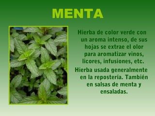 MENTA
Hierba de color verde con
un aroma intenso, de sus
hojas se extrae el olor
para aromatizar vinos,
licores, infusiones, etc.
Hierba usada generalmente
en la repostería. También
en salsas de menta y
ensaladas.
 