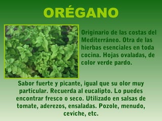 ORÉGANO
Originario de las costas del
Mediterráneo. Otra de las
hierbas esenciales en toda
cocina. Hojas ovaladas, de
color verde pardo.
Sabor fuerte y picante, igual que su olor muy
particular. Recuerda al eucalipto. Lo puedes
encontrar fresco o seco. Utilizado en salsas de
tomate, aderezos, ensaladas. Pozole, menudo,
ceviche, etc.
 