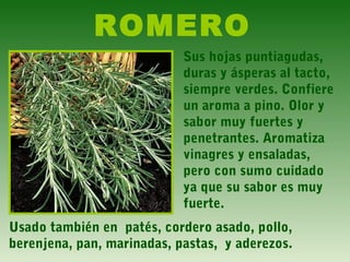 ROMERO
Sus hojas puntiagudas,
duras y ásperas al tacto,
siempre verdes. Confiere
un aroma a pino. Olor y
sabor muy fuertes y
penetrantes. Aromatiza
vinagres y ensaladas,
pero con sumo cuidado
ya que su sabor es muy
fuerte.
Usado también en patés, cordero asado, pollo,
berenjena, pan, marinadas, pastas, y aderezos.
 