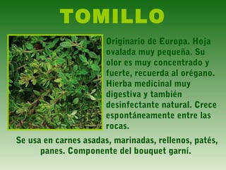 TOMILLO
Originario de Europa. Hoja
ovalada muy pequeña. Su
olor es muy concentrado y
fuerte, recuerda al orégano.
Hierba medicinal muy
digestiva y también
desinfectante natural. Crece
espontáneamente entre las
rocas.
Se usa en carnes asadas, marinadas, rellenos, patés,
panes. Componente del bouquet garní.
 