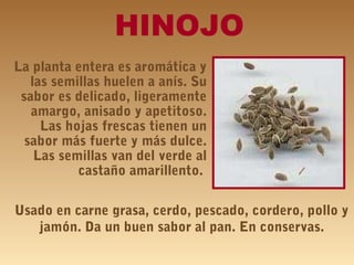 HINOJO
La planta entera es aromática y
las semillas huelen a anís. Su
sabor es delicado, ligeramente
amargo, anisado y apetitoso.
Las hojas frescas tienen un
sabor más fuerte y más dulce.
Las semillas van del verde al
castaño amarillento.
Usado en carne grasa, cerdo, pescado, cordero, pollo y
jamón. Da un buen sabor al pan. En conservas.
 