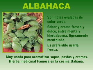 ALBAHACA
Son hojas ovaladas de
color verde.
Sabor y aroma fresco y
dulce, entre menta y
hierbabuena. ligeramente
mentolado.
Es preferible usarla
fresca.
Muy usada para aromatizar sopas, pastas y cremas.
Hierba medicinal Famosa en la cocina Italiana.
 