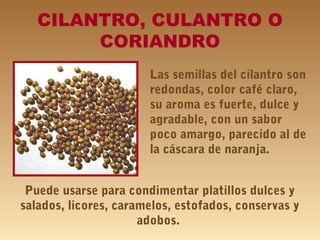 CILANTRO, CULANTRO O
CORIANDRO
Las semillas del cilantro son
redondas, color café claro,
su aroma es fuerte, dulce y
agradable, con un sabor
poco amargo, parecido al de
la cáscara de naranja.
Puede usarse para condimentar platillos dulces y
salados, licores, caramelos, estofados, conservas y
adobos.
 