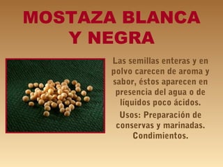MOSTAZA BLANCA
Y NEGRA
Las semillas enteras y en
polvo carecen de aroma y
sabor, éstos aparecen en
presencia del agua o de
líquidos poco ácidos.
Usos: Preparación de
conservas y marinadas.
Condimientos.
 