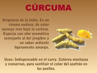 CÚRCUMA
Originaria de la India. Es un
rizoma nudoso, de color
naranja vivo bajo la corteza.
Especia con olor aromático
semejante al del jengibre y
un sabor ardiente
ligeramente amargo.
Usos: Indispensable en el curry. Colorea mostazas
y conservas, para sustituir el color del azafrán en
las paellas.
 