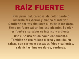 RAÍZ FUERTE
Raíz principal, carnosa, de color pardo o
amarillo al exterior y blanco al interior.
Contiene aceites similares a los de la mostaza,
tiene un fuere sabor, incluso picante. Su olor
es fuerte y su sabor es intenso y ardiente.
Usos: Se usa cruda como condimento.
También se usa rallada o seca y molida, en
salsas, con carnes o pescados fríos y calientes,
salchichas, huevos duros, verduras.
 