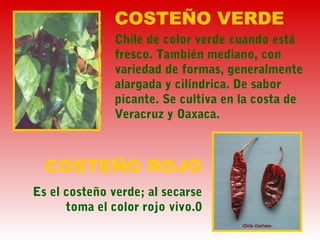 COSTEÑO VERDE
Chile de color verde cuando está
fresco. También mediano, con
variedad de formas, generalmente
alargada y cilíndrica. De sabor
picante. Se cultiva en la costa de
Veracruz y Oaxaca.
COSTEÑO ROJO
Es el costeño verde; al secarse
toma el color rojo vivo.0
 