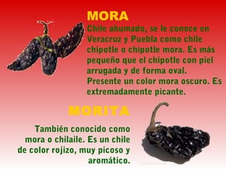 MORA
Chile ahumado, se le conoce en
Veracruz y Puebla como chile
chipotle o chipotle mora. Es más
pequeño que el chipotle con piel
arrugada y de forma oval.
Presente un color mora oscuro. Es
extremadamente picante.
MORITA
También conocido como
mora o chilaile. Es un chile
de color rojizo, muy picoso y
aromático.
 