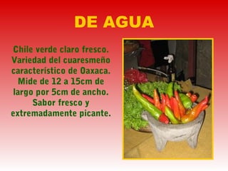 DE AGUA
Chile verde claro fresco.
Variedad del cuaresmeño
característico de Oaxaca.
Mide de 12 a 15cm de
largo por 5cm de ancho.
Sabor fresco y
extremadamente picante.
 