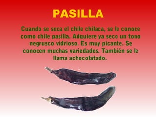 PASILLA
Cuando se seca el chile chilaca, se le conoce
como chile pasilla. Adquiere ya seco un tono
negrusco vidrioso. Es muy picante. Se
conocen muchas variedades. También se le
llama achocolatado.
 