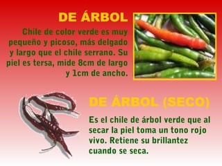 DE ÁRBOL
Chile de color verde es muy
pequeño y picoso, más delgado
y largo que el chile serrano. Su
piel es tersa, mide 8cm de largo
y 1cm de ancho.
DE ÁRBOL (SECO)
Es el chile de árbol verde que al
secar la piel toma un tono rojo
vivo. Retiene su brillantez
cuando se seca.
 