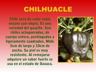 CHILHUACLE
Chile seco de color sepia
oscuro casi negro. Es una
variedad del guajillo. Son
chiles achaparrados, de
cuerpo entero, puntiagudos y
ligeramente cuadrados. Mide
5cm de largo y 10cm de
ancho. Su piel es muy
resistente. Al remojarse
adquiere un sabor fuerte se
usa en el estado de Oaxaca.
 