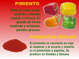 PIMIENTO
Chile de color verde,
amarillo o morado
cuando es fresco. Es
grande de forma
cuadrada y achatada,
paredes gruesas.
PIMIENTÓN MOLIDO
El pimiento se convierte en rojo
al madurar y al secarlo y molerlo
es el pimientón o paprika. Se
produce en Sinaloa y Sonora.
 