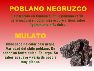 POBLANO NEGRUZCO
Es parecido en tamaño al chile poblano verde,
pero madura en color más oscuro y tiene sabor
ligeramente más dulce.
MULATO
Chile seco de color casi negro.
Variedad del chile poblano. De
sabor un tanto dulce. Es largo. Su
sabor es suave y varía de poco a
muy picoso.
 