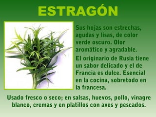 ESTRAGÓN
Sus hojas son estrechas,
agudas y lisas, de color
verde oscuro. Olor
aromático y agradable.
El originario de Rusia tiene
un sabor delicado y el de
Francia es dulce. Esencial
en la cocina, sobretodo en
la francesa.
Usado fresco o seco; en salsas, huevos, pollo, vinagre
blanco, cremas y en platillos con aves y pescados.
 