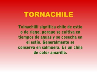 TORNACHILE
Tolnachilli significa chile de estío
o de riego, porque se cultiva en
tiempos de aguas y se cosecha en
el estío. Generalmente se
conserva en salmuera. Es un chile
de color amarillo.
 