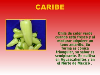 CARIBE
Chile de color verde
cuando está fresco y al
madurar adquiere un
tono amarillo. Su
forma es cónica
triangular, su sabor es
semipicante. Se cultiva
en Aguascalientes y en
el Norte de México .
 