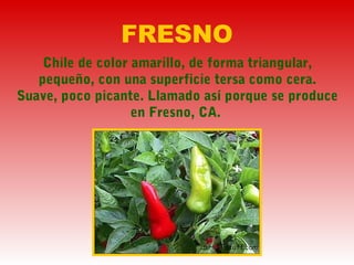FRESNO
Chile de color amarillo, de forma triangular,
pequeño, con una superficie tersa como cera.
Suave, poco picante. Llamado así porque se produce
en Fresno, CA.
 
