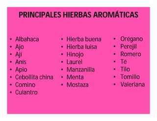 PRINCIPALES HIERBAS AROMÁTICAS 
• Albahaca 
• Ajo 
• Ají 
• Anís 
• Apio 
• Cebollita china 
• Comino 
• Culantro 
• Hierba buena 
• Hierba luisa 
• Hinojo 
• Laurel 
• Manzanilla 
• Menta 
• Mostaza 
• Orégano 
• Perejil 
• Romero 
• Té 
• Tilo 
• Tomillo 
• Valeriana 
 