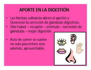 APORTE EN LA DIGESTIÓN 
• Las hierbas culinarias abren el apetito y 
favorecen la secreción de glándulas digestivas. 
• Olor/sabor – receptor – estímulo – secreción de 
glándulas – mejor digestión 
• Acto de comer se vuelve 
no solo placentero sino 
además, aprovechable. 
 