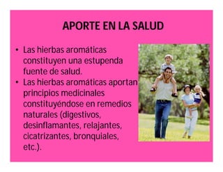 APORTE EN LA SALUD 
• Las hierbas aromáticas 
constituyen una estupenda 
fuente de salud. 
• Las hierbas aromáticas aportan 
principios medicinales 
constituyéndose en remedios 
naturales (digestivos, 
desinflamantes, relajantes, 
cicatrizantes, bronquiales, 
etc.). 
 