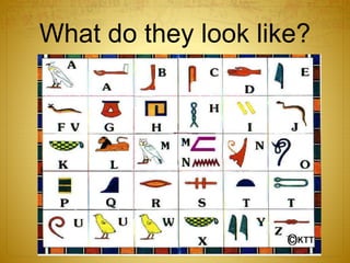 What do they look like?
 