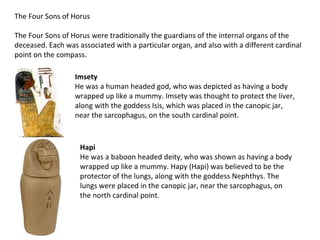 The Four Sons of Horus

The Four Sons of Horus were traditionally the guardians of the internal organs of the
deceased. Each was associated with a particular organ, and also with a different cardinal
point on the compass.

                  Imsety
                  He was a human headed god, who was depicted as having a body
                  wrapped up like a mummy. Imsety was thought to protect the liver,
                  along with the goddess Isis, which was placed in the canopic jar,
                  near the sarcophagus, on the south cardinal point.



                    Hapi
                    He was a baboon headed deity, who was shown as having a body
                    wrapped up like a mummy. Hapy (Hapi) was believed to be the
                    protector of the lungs, along with the goddess Nephthys. The
                    lungs were placed in the canopic jar, near the sarcophagus, on
                    the north cardinal point.
 