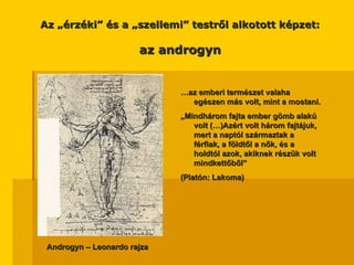 Az „érzéki” és a „szellemi” testről alkotott képzet: az androgyn Androgyn – Leonardo rajza … az emberi természet valaha egészen más volt, mint a mostani. „ Mindhárom fajta ember gömb alakú volt (…)Azért volt három fajtájuk, mert a naptól származtak a férfiak, a földtől a nők, és a holdtól azok, akiknek részük volt mindkettőből”  (Platón: Lakoma)  