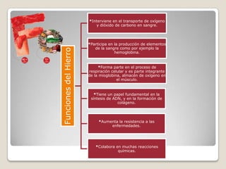 Funciones del Hierro

*Interviene en el transporte de oxígeno
y dióxido de carbono en sangre.

*Participa en la producción de elementos
de la sangre como por ejemplo la
hemoglobina.

*Forma parte en el proceso de
respiración celular y es parte integrante
de la mioglobina, almacén de oxígeno en
el músculo.

*Tiene un papel fundamental en la
síntesis de ADN, y en la formación de
colágeno.

*Aumenta la resistencia a las
enfermedades.

*Colabora en muchas reacciones
químicas.

 